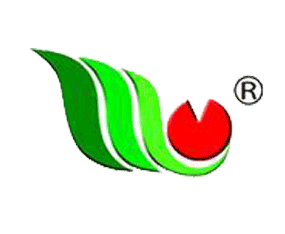 ÷NI޹˾2015IN-2015ڶʮһùINI[