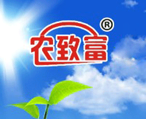 r¸rIƼ޹˾
