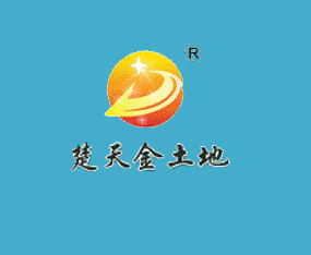 Gг_l^طϏS