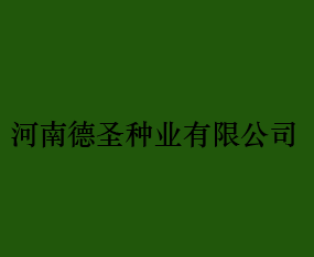 ϵʥNI޹˾