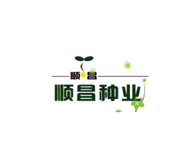 ۹혲NI޹˾