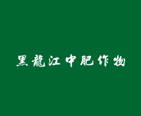 зIB޹˾