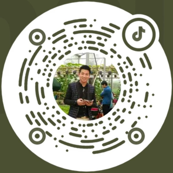 以色列霸爾國際集團