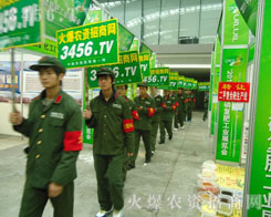 火爆網的每個人都有著共同的奮斗激情