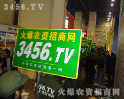 清新可愛的氣模寶寶