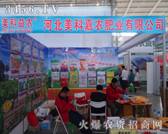 ӱƼrʘIݳ2014ꖷϕ