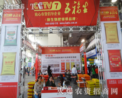 帣c2014ֲٴΠ