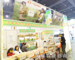 fNI2014＾Nӕ