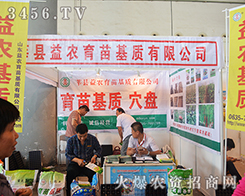 山東莘縣益農育苗活力無限！