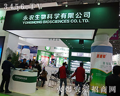 r2015Ϸֲʢ䣡