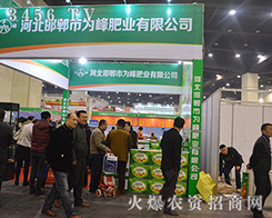 ОʘI2015ݷϕ֮ÈAMY