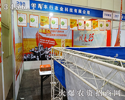 SڷeO2015ļNӕ