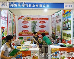 rNI2015ݷϕ Ч