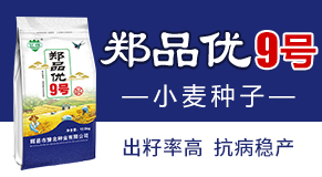xhԥNI޹˾