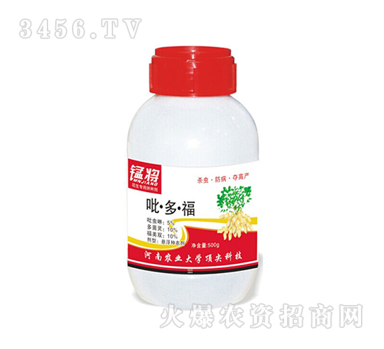 500g˻N-͌