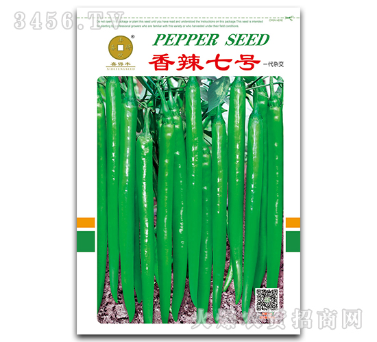 香辣七號-辣椒種子-喜得豐-華為種業