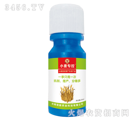 小麥控旺增產專用葉面肥-小麥?？?冠能農業