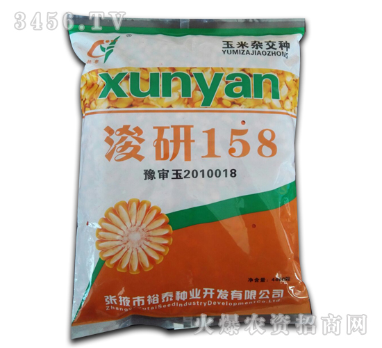 浚研158-玉米種子-良玉農業