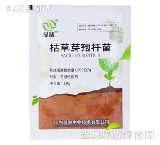 æž¯è‰èŠ½å­¢æ¡¿èŒï¼ˆè‘‰é¢åž‹ï¼‰-ç¶ éš´