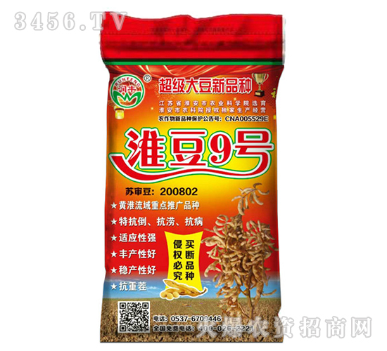 淮豆9號-大豆種子-晨禾種業