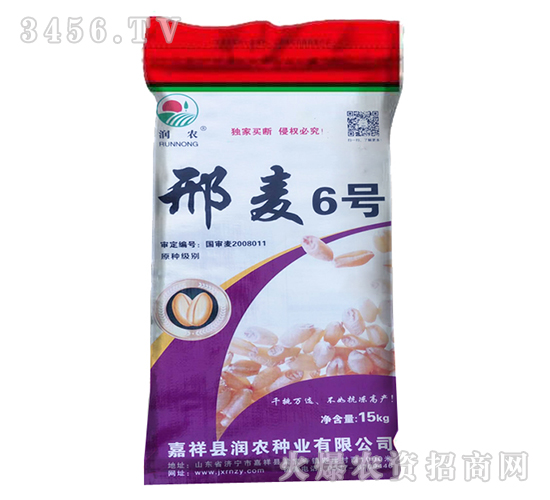 15kg邢麥6號-小麥種子-晨禾種業