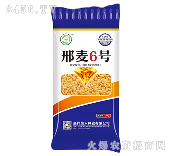 25kg邢麥6號-小麥種子-晨禾種業