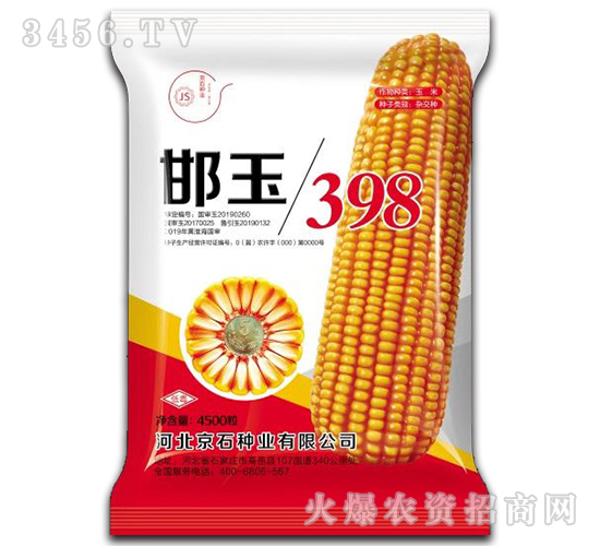 邯玉398（4500粒）-玉米種子-京石種業