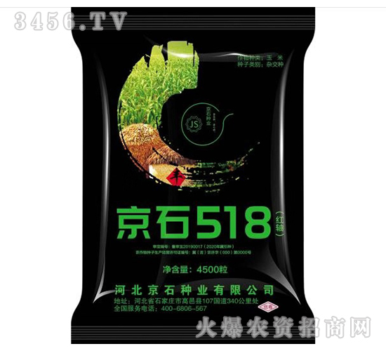 京石518-玉米雜交種-京石種業