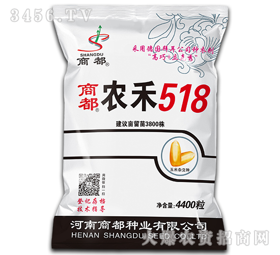 農禾518-玉米雜交種-商都種業