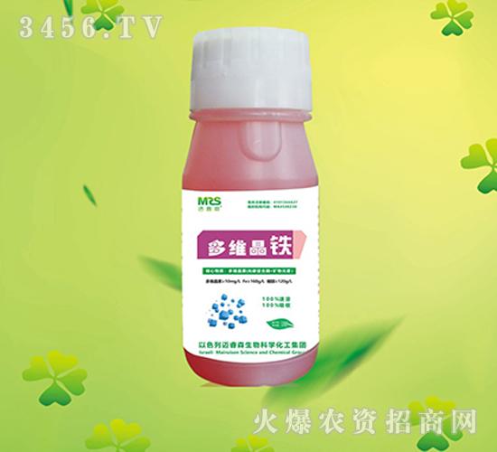 å¤šç¶­æ™¶éµ-é‚ç¿æ£®