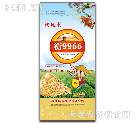 衡9966小麥種子-鴻運(yùn)來(lái)-晨禾種業(yè)