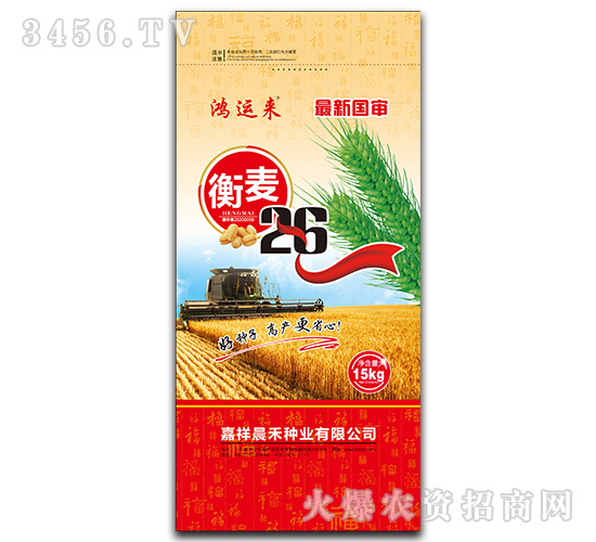 衡麥26小麥種子-鴻運來-晨禾種業