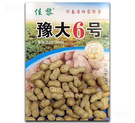 豫大6號花生種子-佳黎-凱晨種業