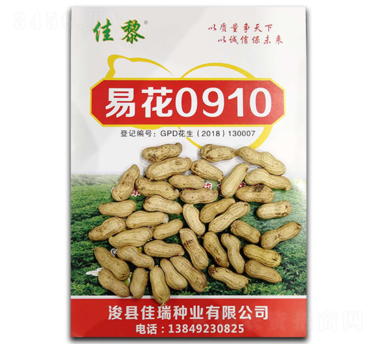 易花0910花生種子-佳黎-凱晨種業