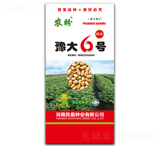 豫大6號花生種子-農(nóng)盼-凱晨種業(yè)