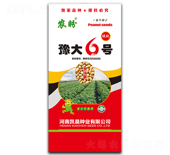 豫大6號花生種子（羅漢果）-農盼-凱晨種業