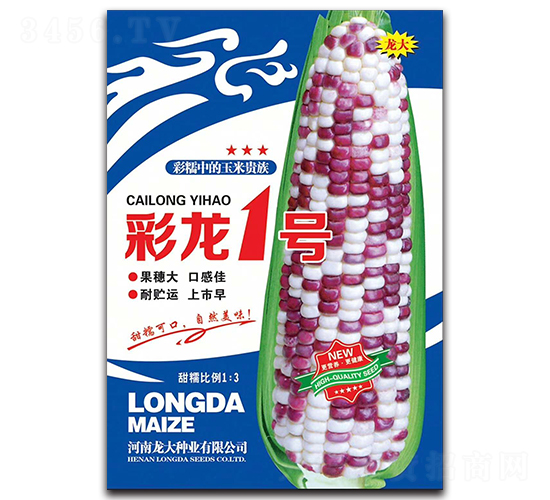彩龍一號-玉米種子-龍大種業
