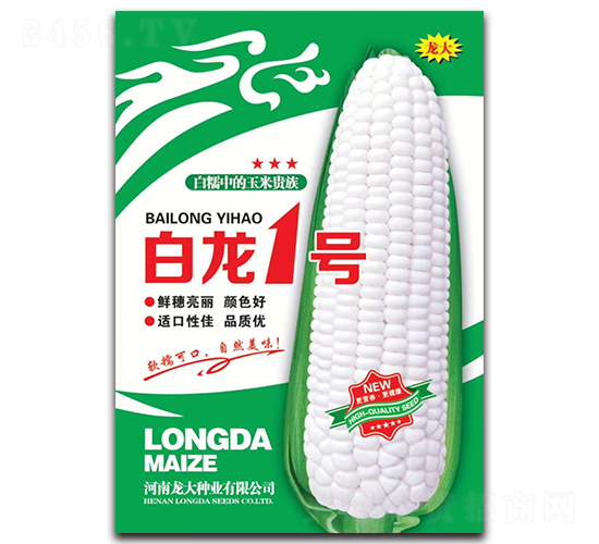 白龍一號-玉米種子-龍大種業