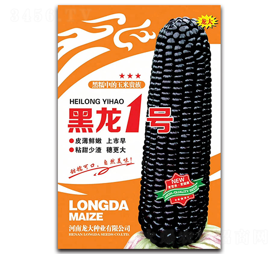 黑龍一號-玉米種子-龍大種業