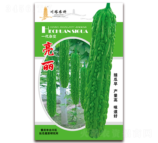 亮麗-苦瓜種子-川塔農科