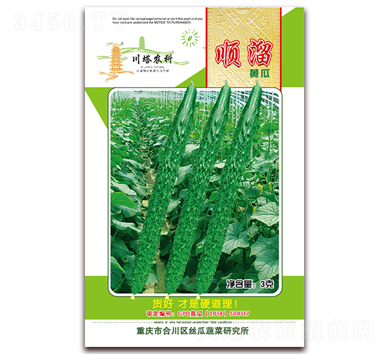 順溜-黃瓜種子-川塔農科