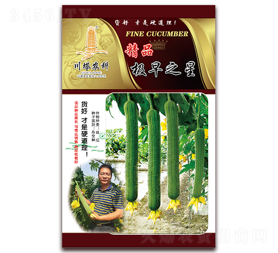 精品極早之星-絲瓜種子-川塔農科