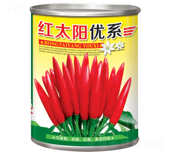 紅太陽優系-辣椒種子-華為種業