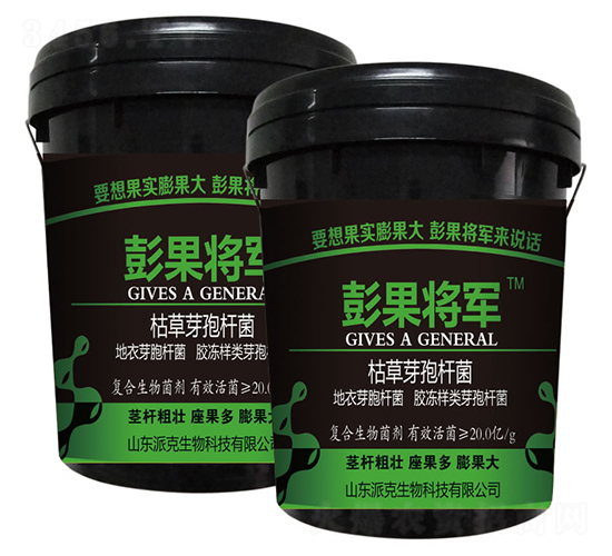 枯草芽孢桿菌-彭果將軍-加米農