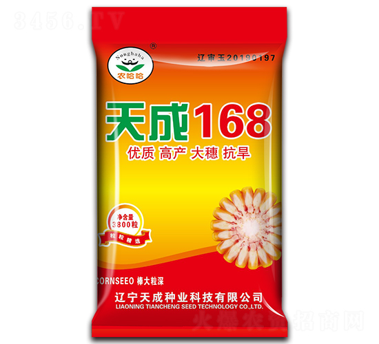 天成168-玉米種子-天成種業