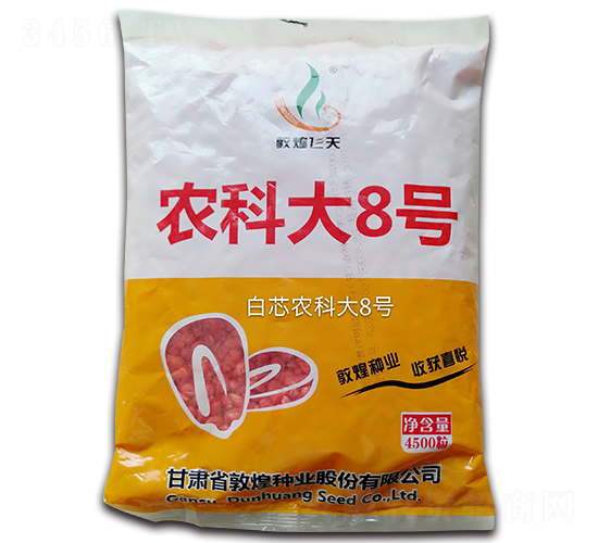 白芯農科大8號玉米種子-敦煌飛天-中亞農業