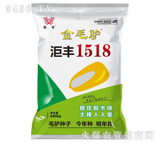 金毛驢洰豐1518-玉米種子-豫穗農業
