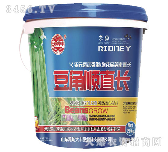 豆角順直長-田園季豐-大豐肥業