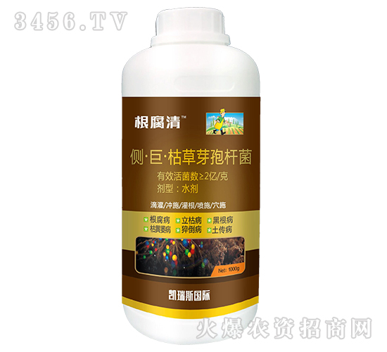 側(cè)·巨·枯草芽孢桿菌-根腐清-凱瑞斯