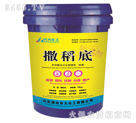 多功能返青分蘗矮化一體肥-撒稻底-農大化工